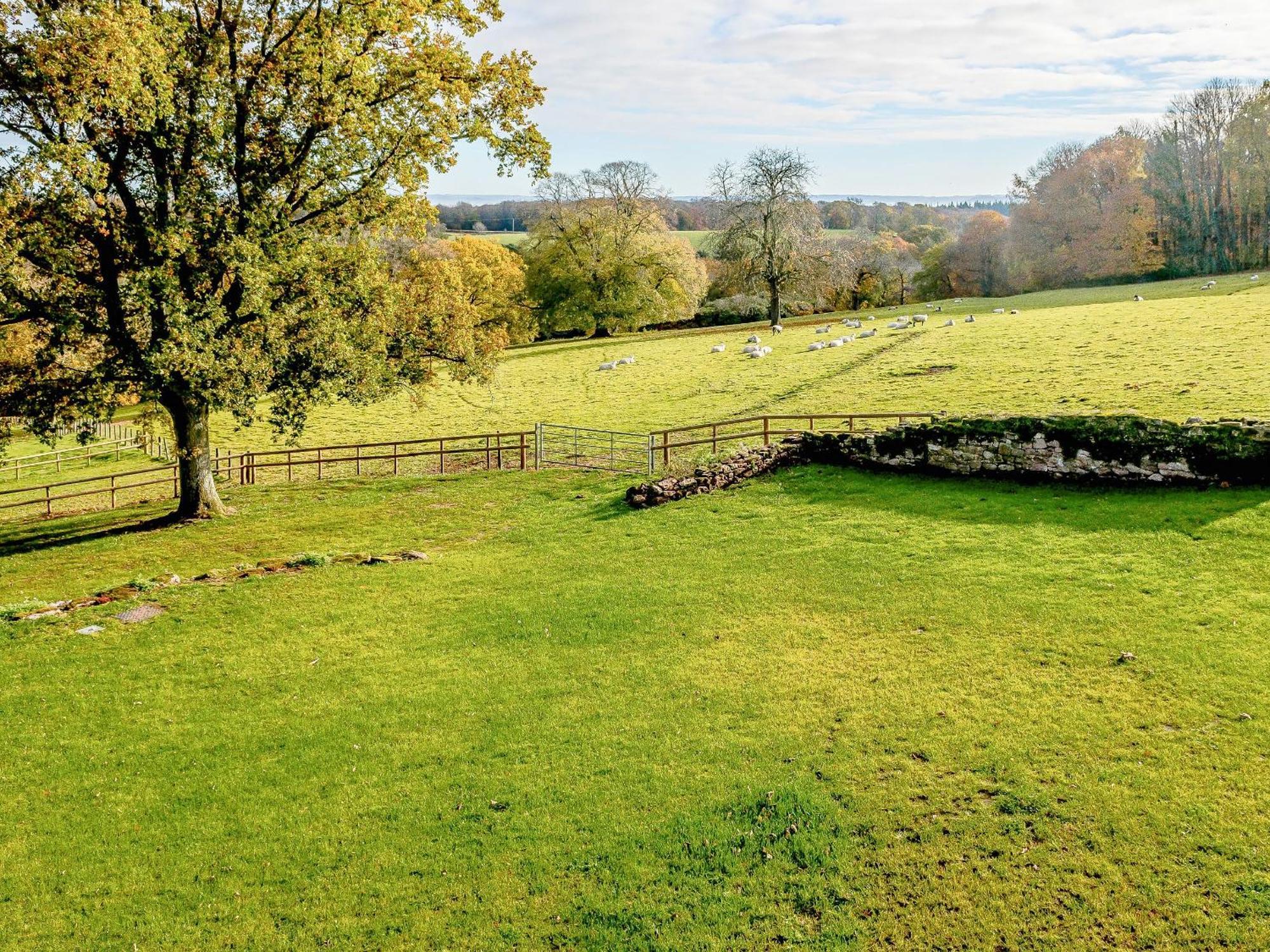 Villa Owl Barn -- Uk30757 à Bream Extérieur photo